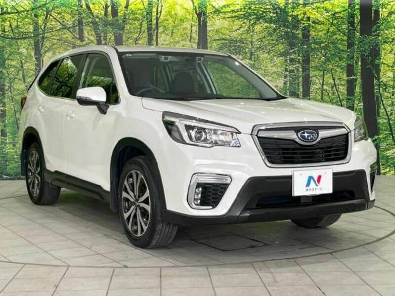 FORESTER-15