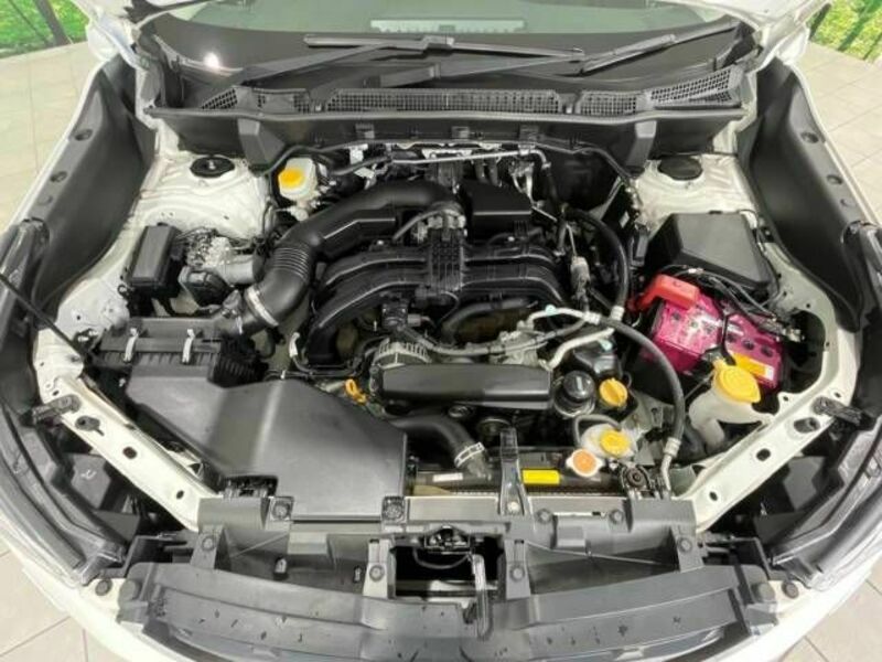 FORESTER-16
