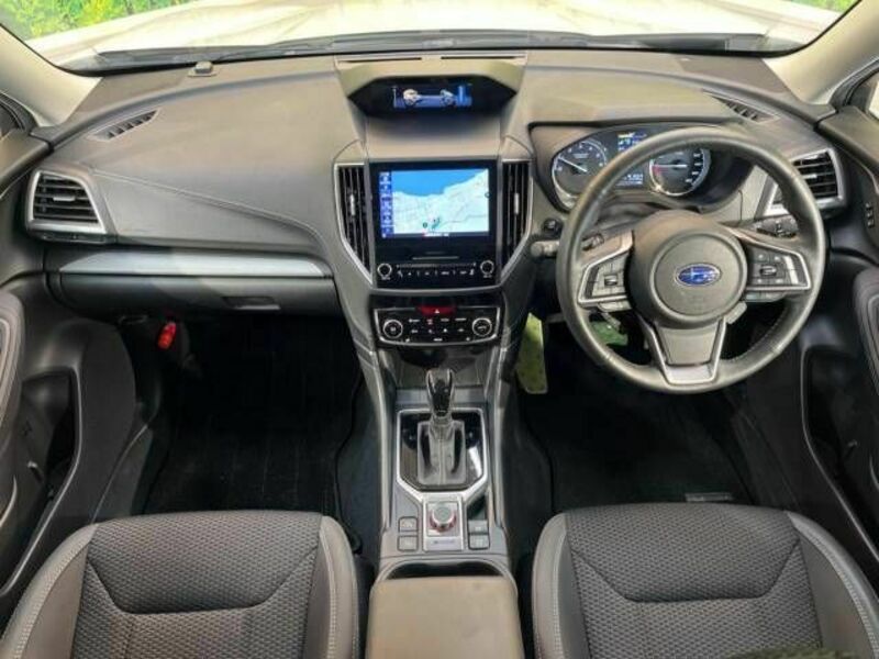 FORESTER-1