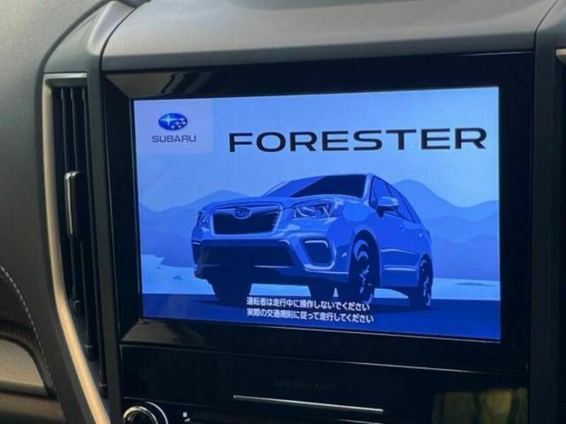 FORESTER-2