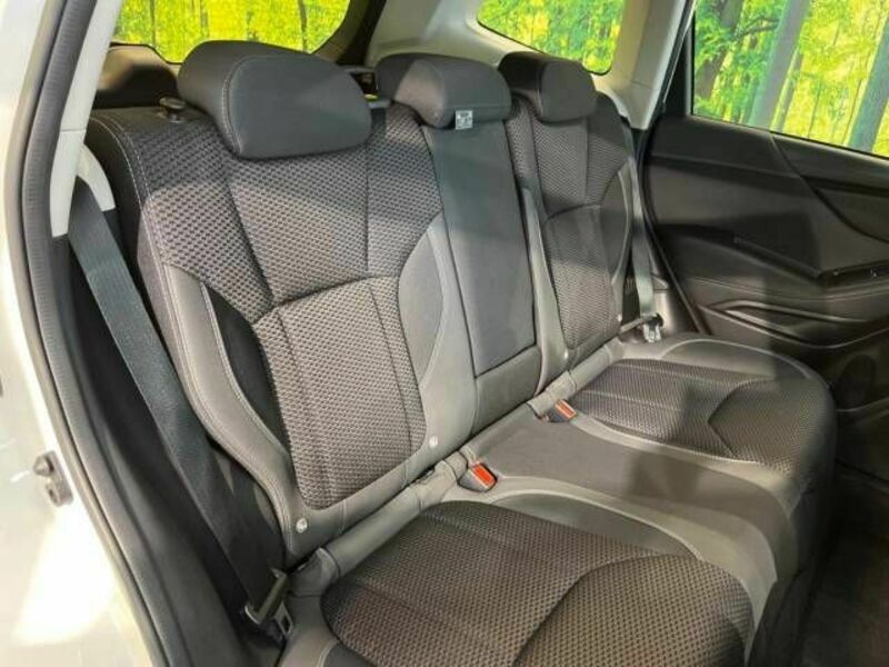 FORESTER-8