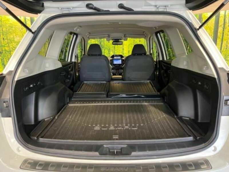 FORESTER-9