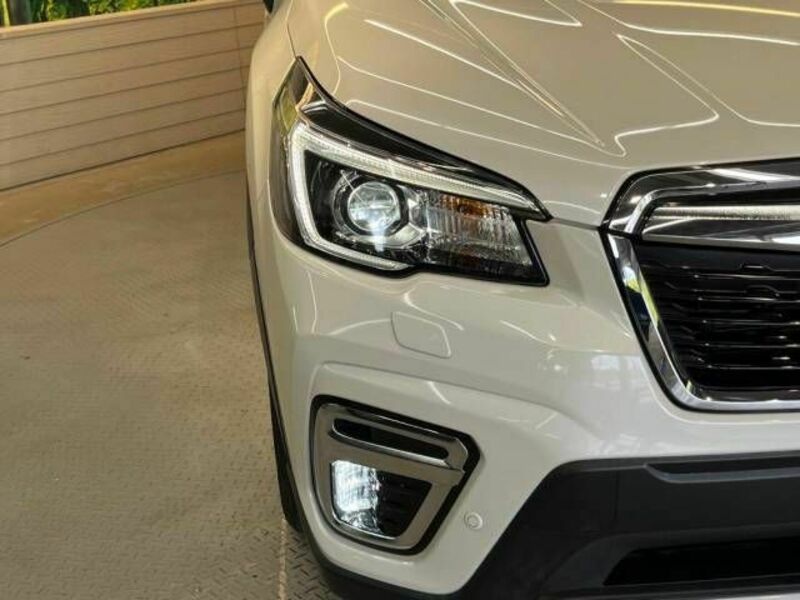 FORESTER-11