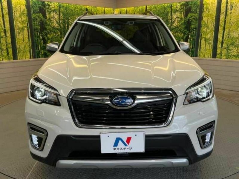FORESTER-13