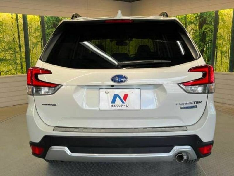 FORESTER-14