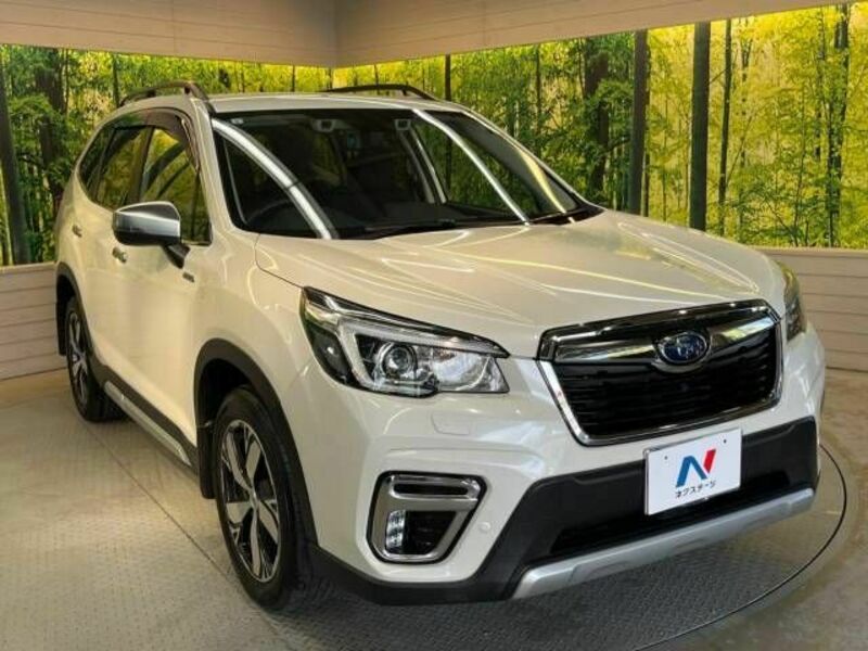 FORESTER-15