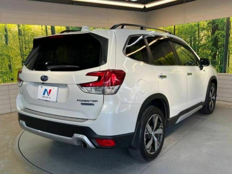 FORESTER-16