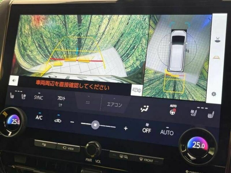 ALPHARD-6