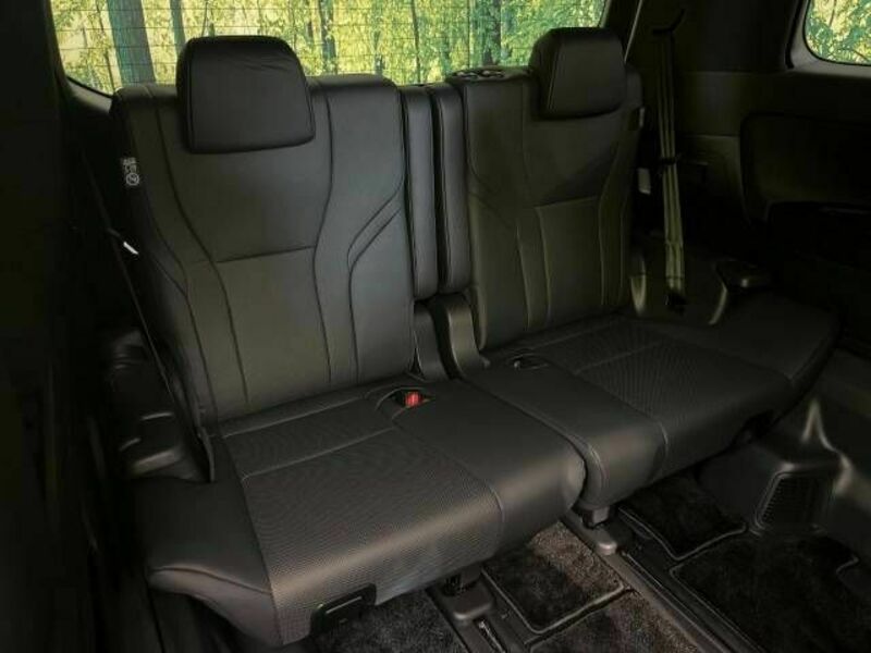 ALPHARD-10