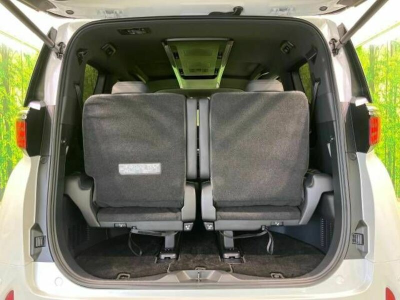 ALPHARD-11