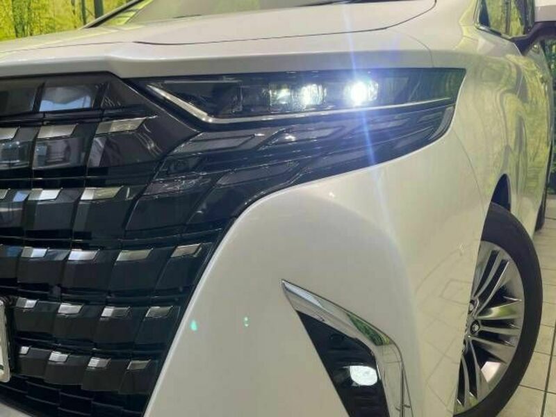 ALPHARD-13