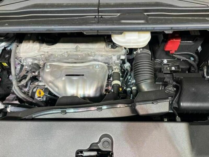 ALPHARD-19