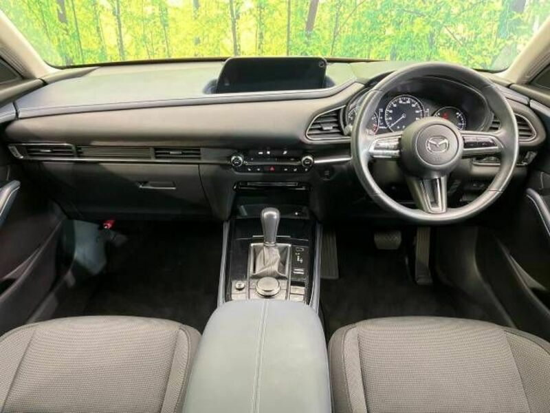 CX-30-1