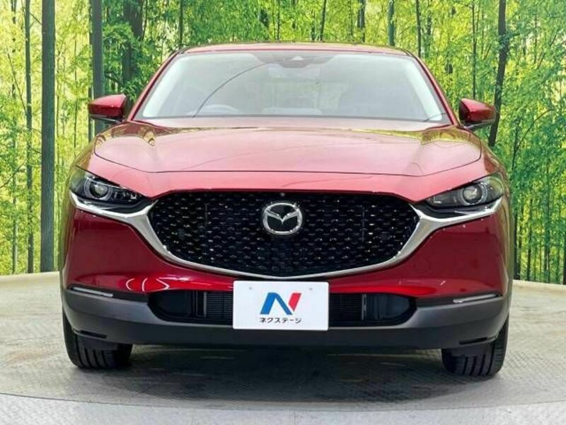 CX-30-13