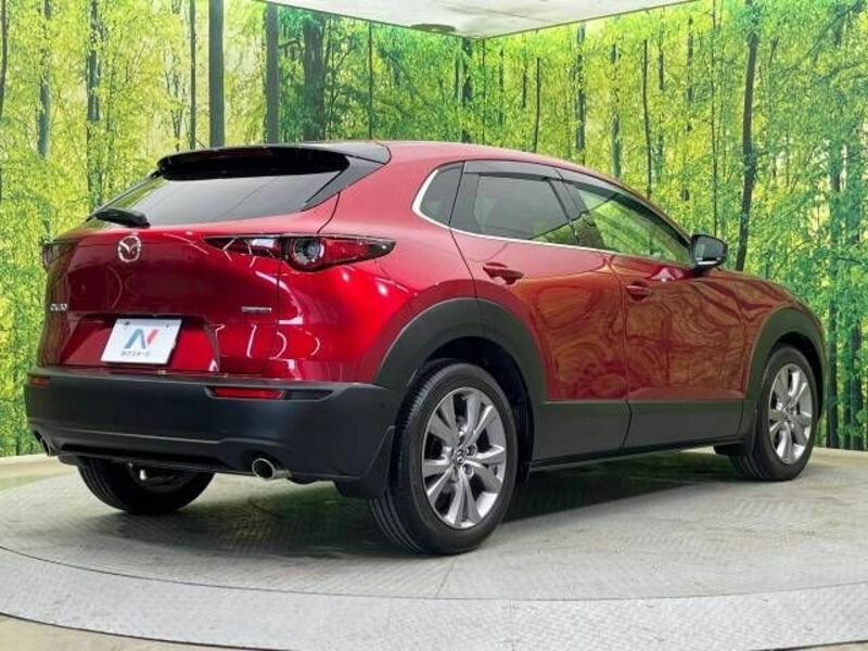 CX-30-16