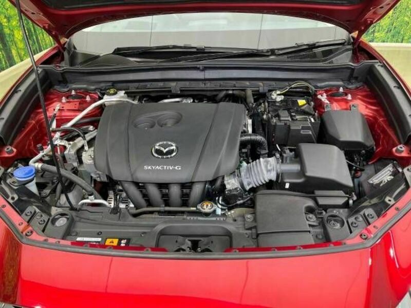 CX-30-17
