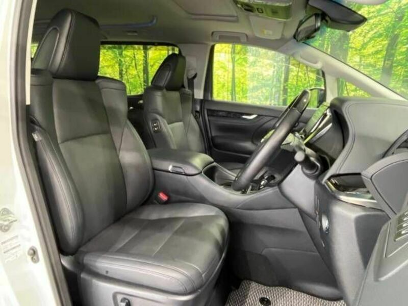 ALPHARD-8