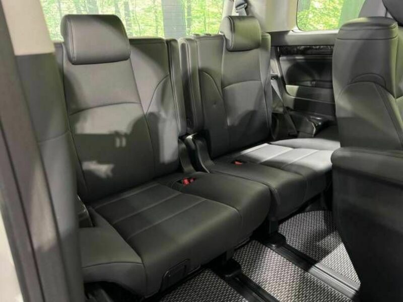 ALPHARD-10