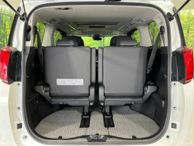 ALPHARD-11