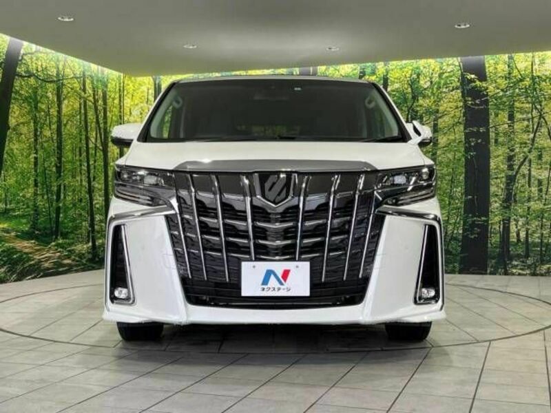 ALPHARD-15