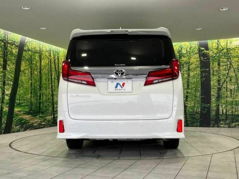 ALPHARD-16