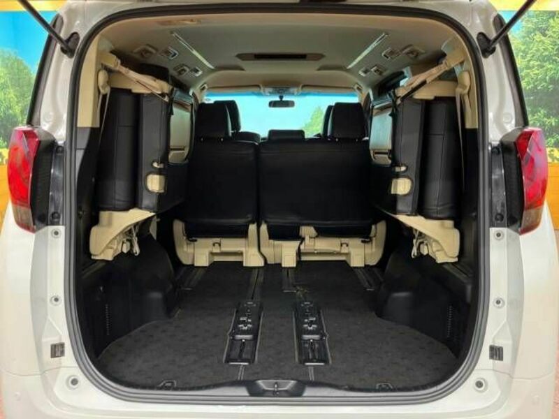 ALPHARD-11