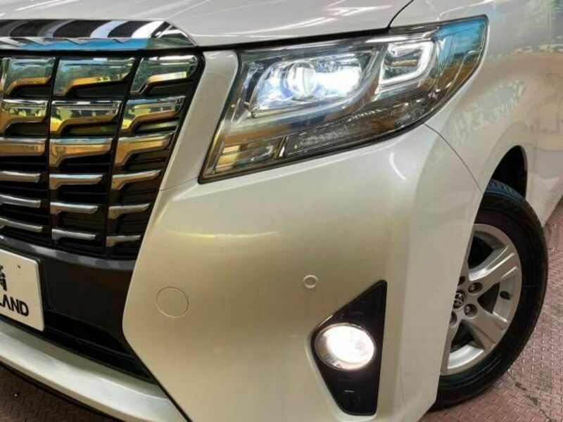ALPHARD-13