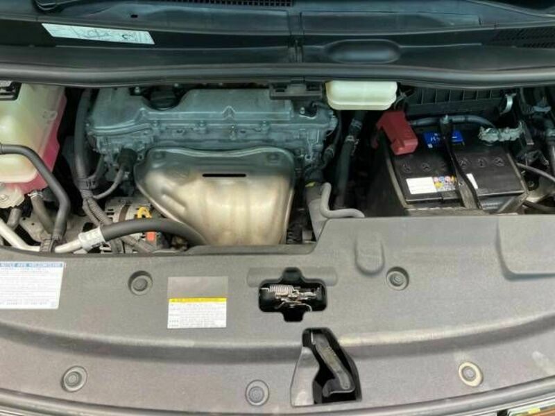 ALPHARD-18