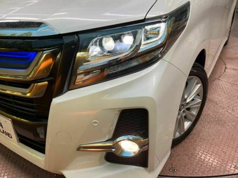 ALPHARD-13