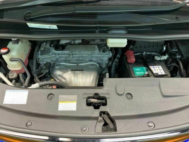 ALPHARD-18