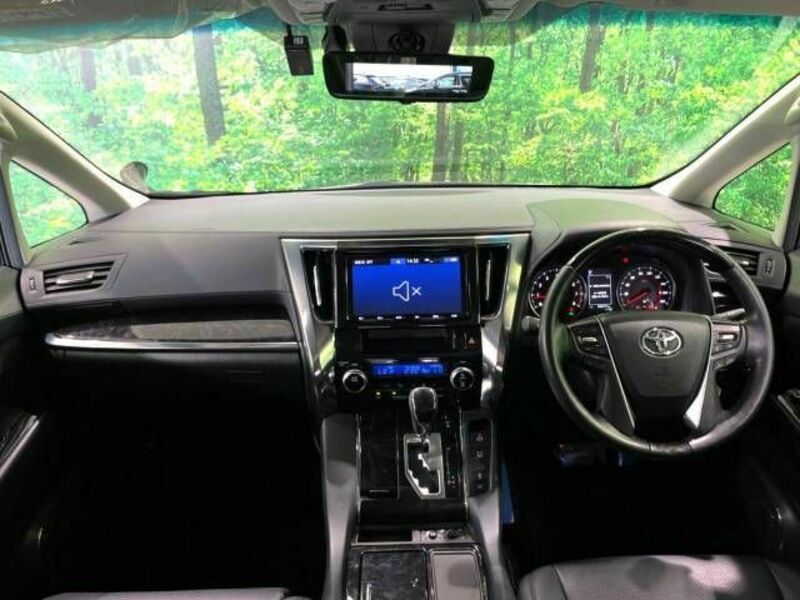 ALPHARD-1