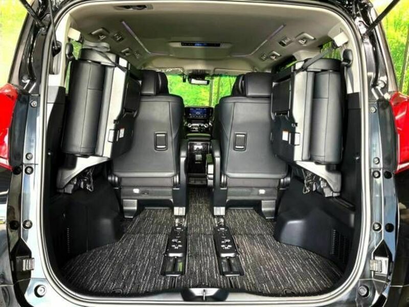 ALPHARD-10