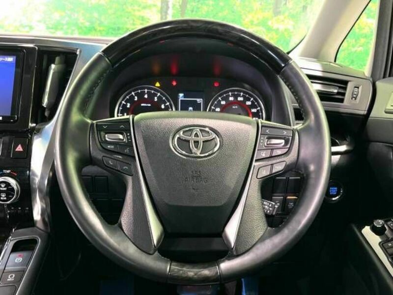 ALPHARD-11