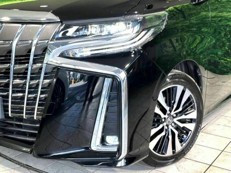 ALPHARD-12