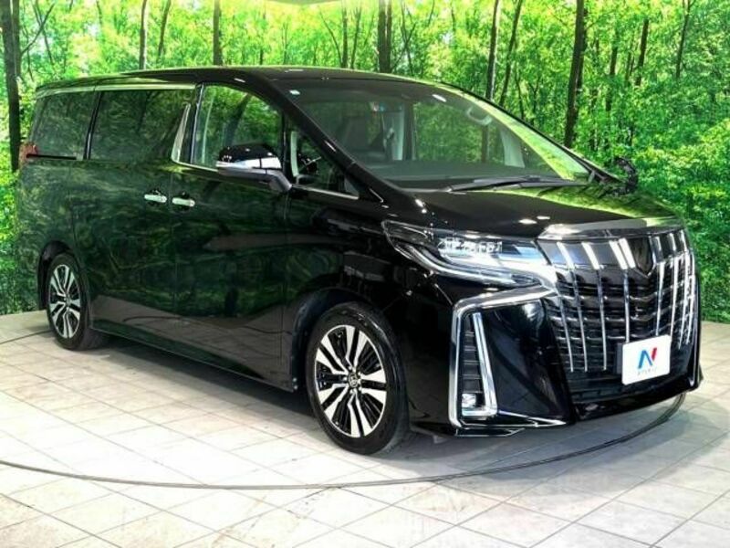 ALPHARD-16