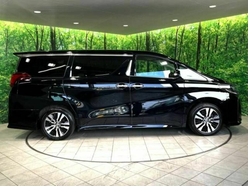 ALPHARD-17