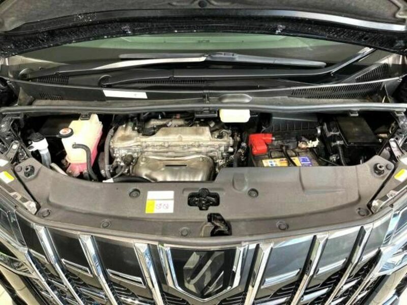 ALPHARD-18