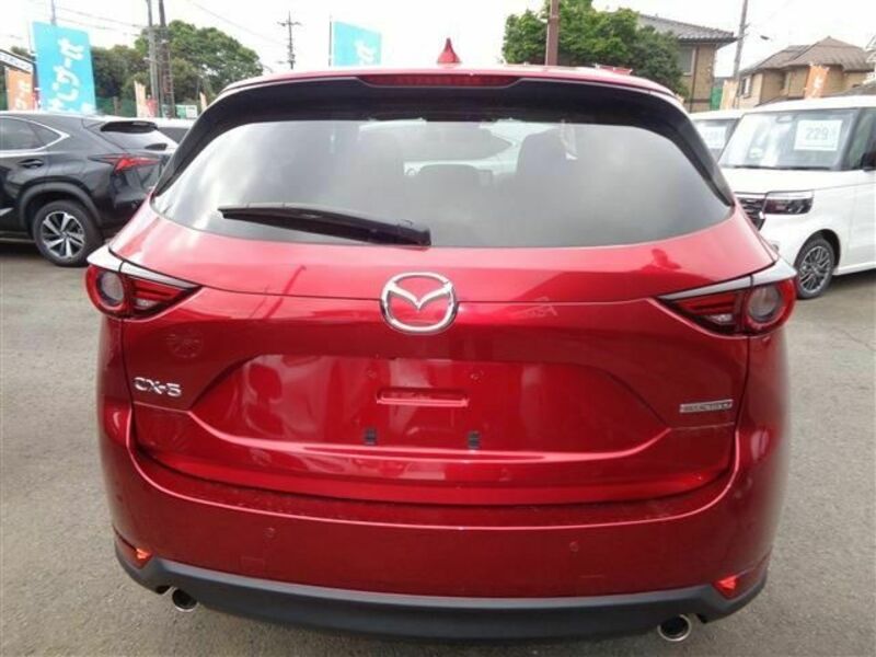 CX-5-6