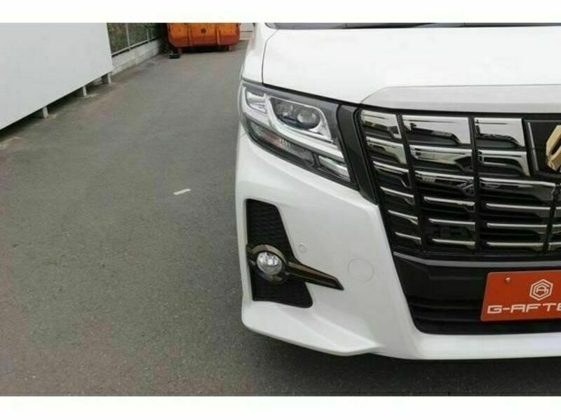 ALPHARD-10