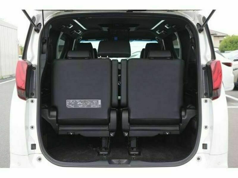 ALPHARD-17