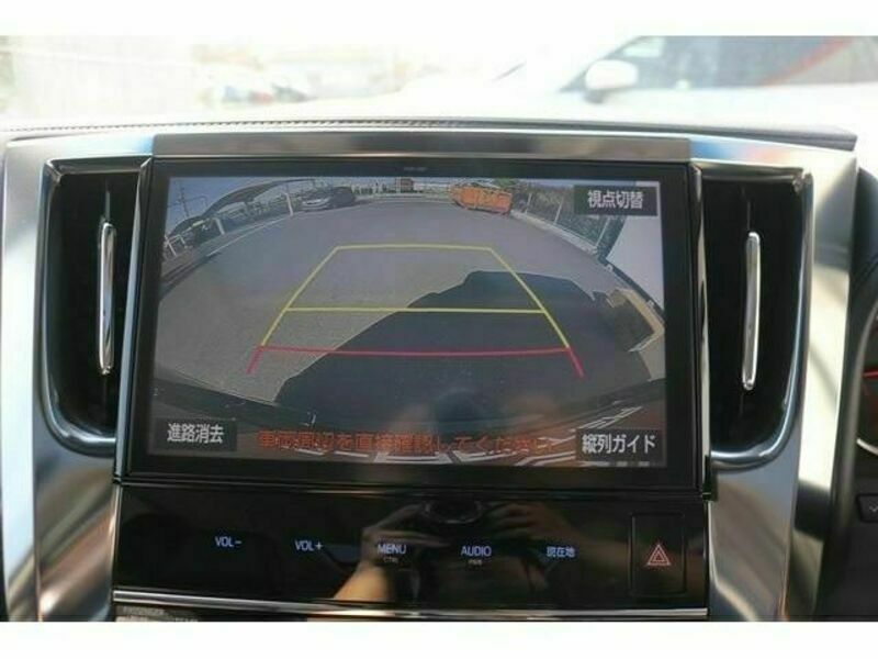 ALPHARD-1