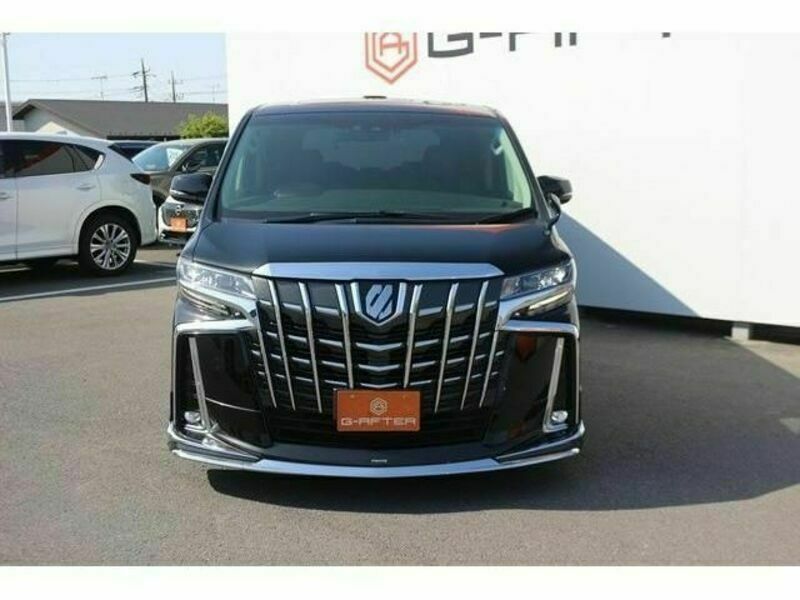 ALPHARD-6