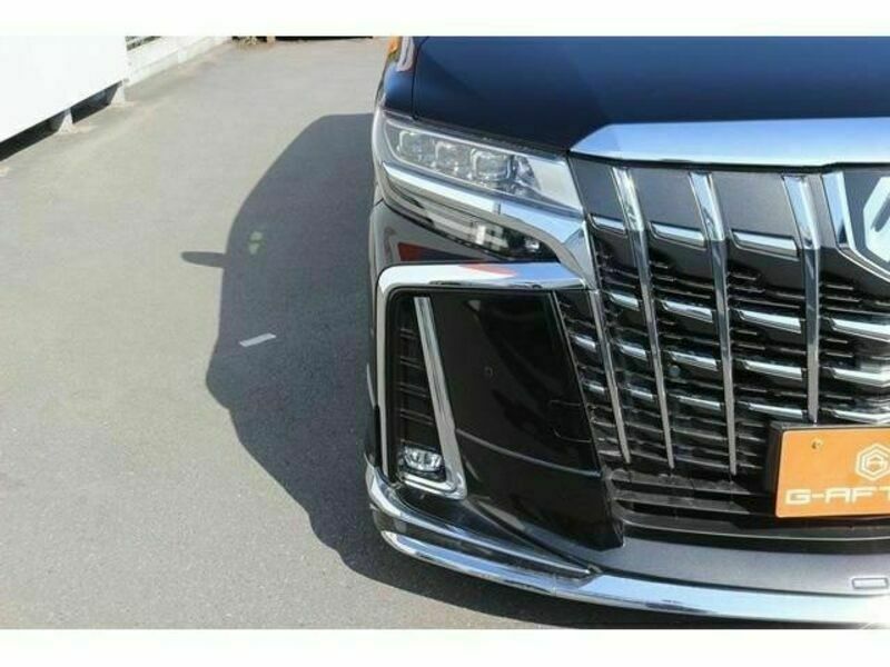 ALPHARD-11