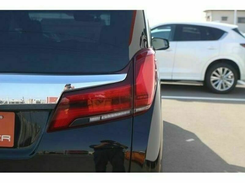ALPHARD-12