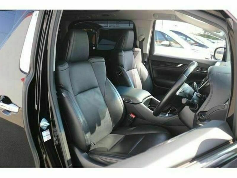 ALPHARD-13