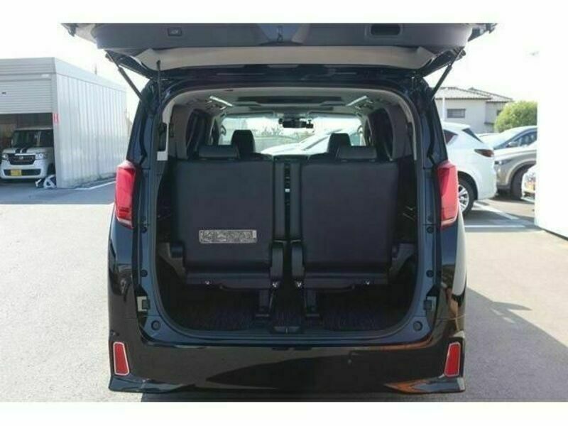 ALPHARD-17