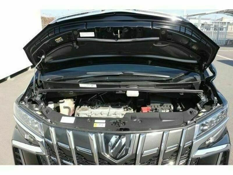 ALPHARD-18