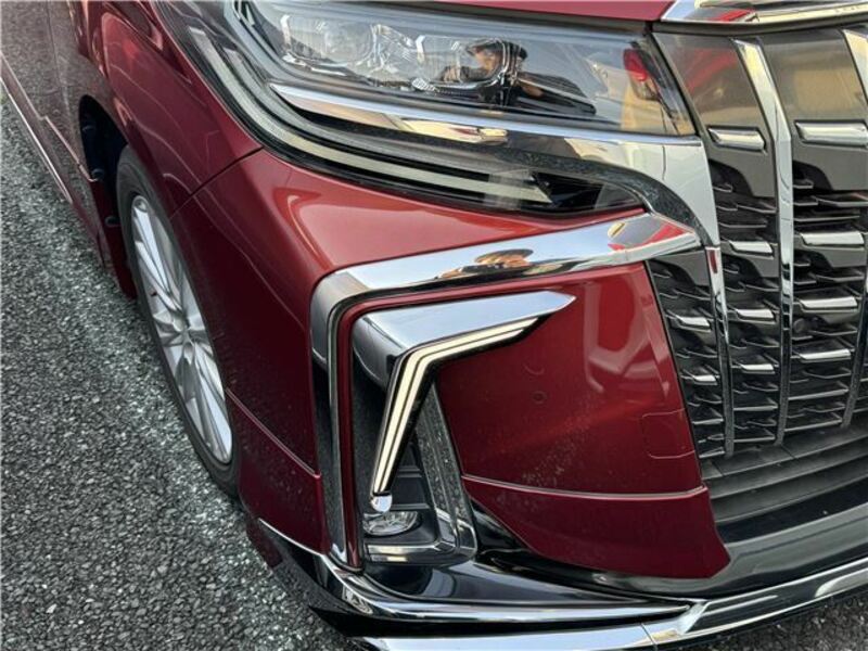 ALPHARD-3
