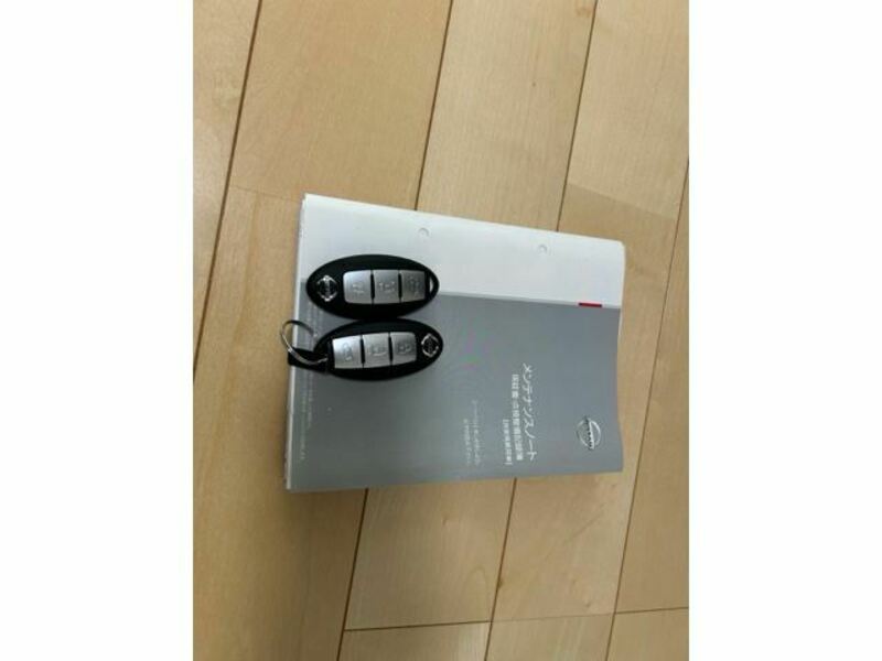 X-TRAIL-33