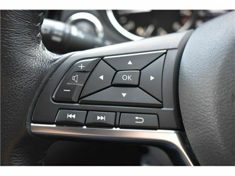 X-TRAIL-17